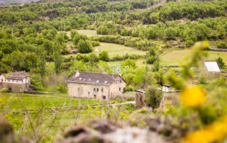 Vista de Lasaosa